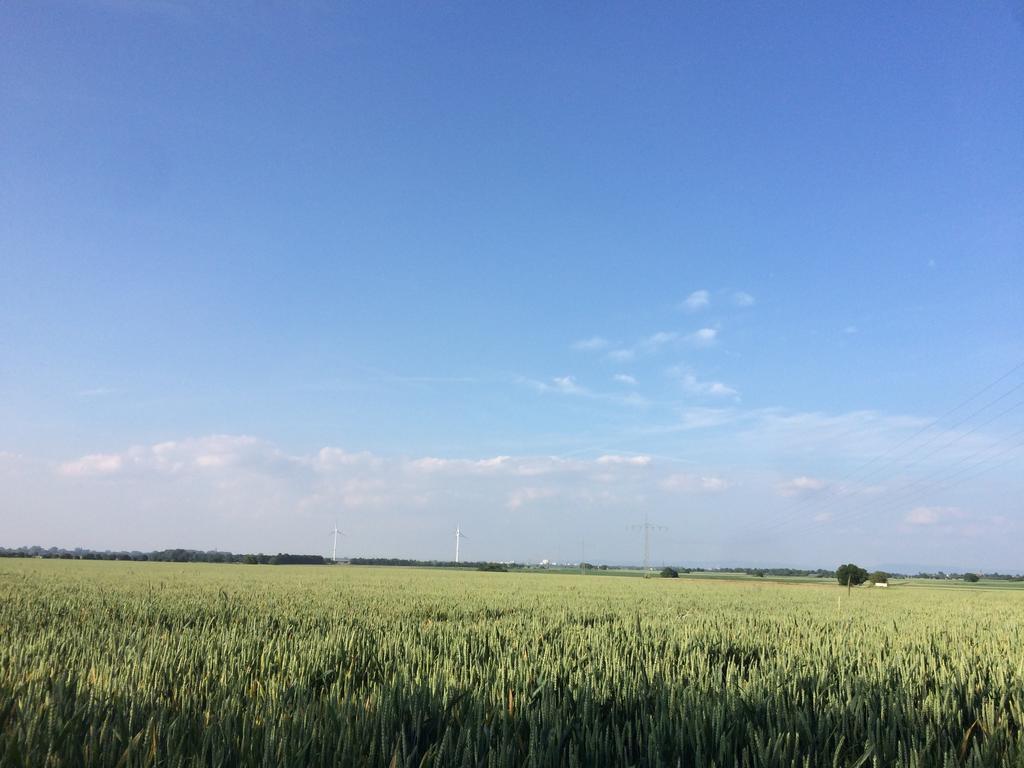 Ferienwohnung Alte Heimat Schwegenheim Exterior foto