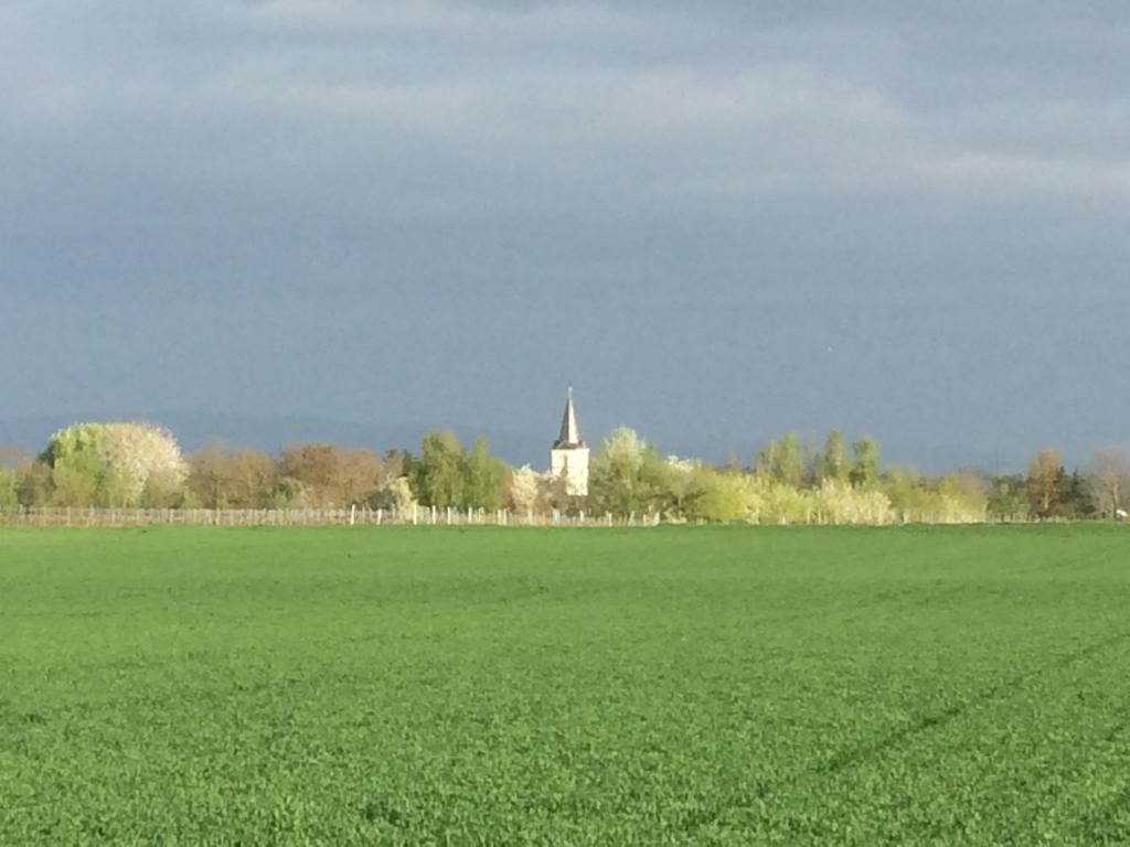 Ferienwohnung Alte Heimat Schwegenheim Exterior foto