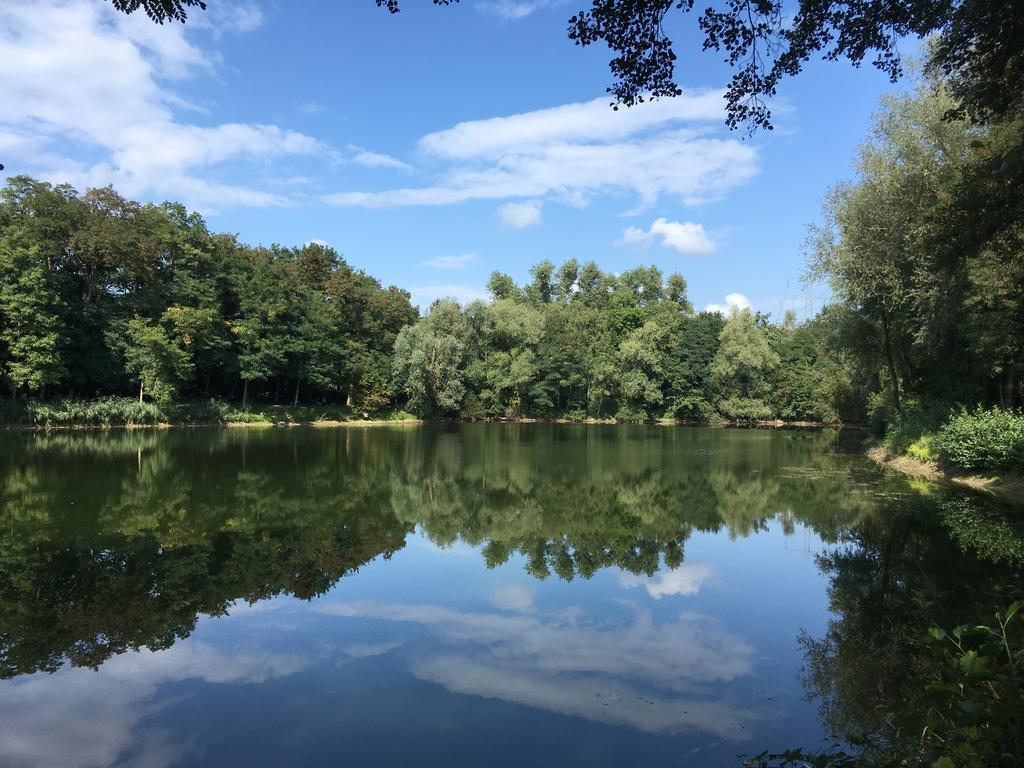 Ferienwohnung Alte Heimat Schwegenheim Exterior foto